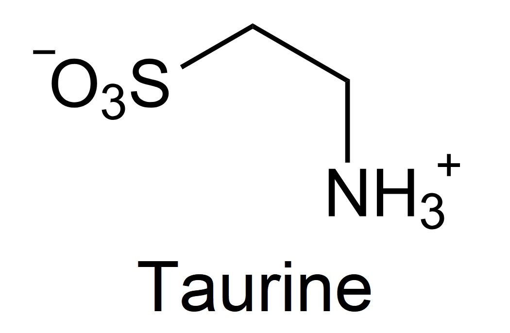 Read more about the article The Potential Health Benefits of Taurine