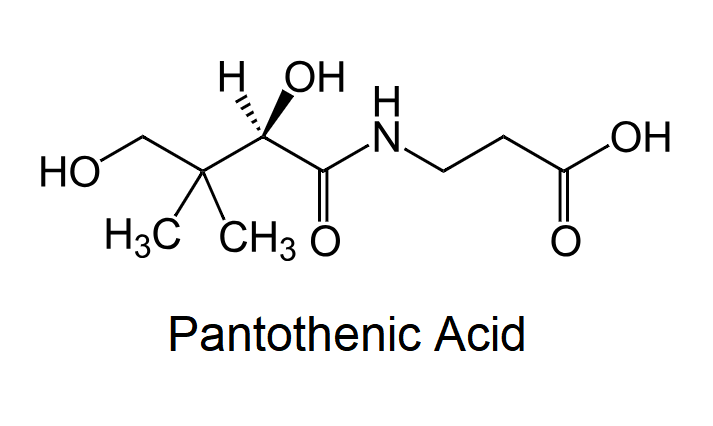 Read more about the article Pantothenic Acid
